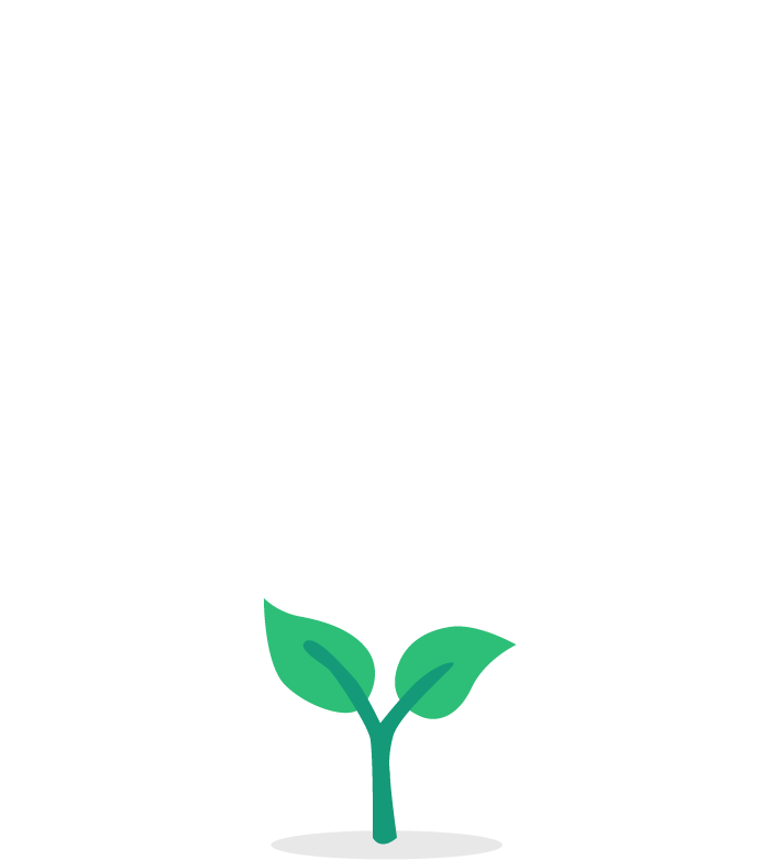 Ecologi - 1 tree planted with every order